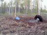 GSM – фотоловушка KUBIK, Bluetooth. 