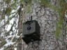 GSM – фотоловушка KUBIK, Bluetooth, Wi-Fi