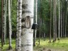 GSM – фотоловушка KUBIK, Bluetooth, Wi-Fi